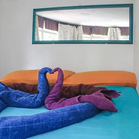 Il Signo Cocco Art Apartment